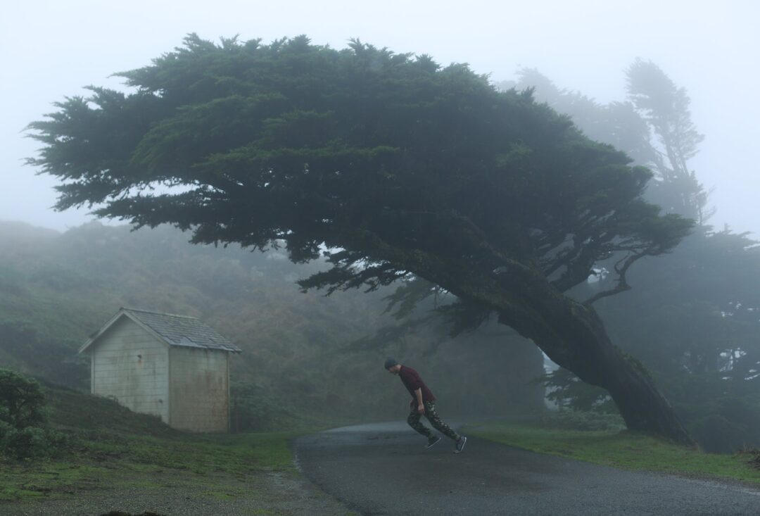 man on the road on a foggy day